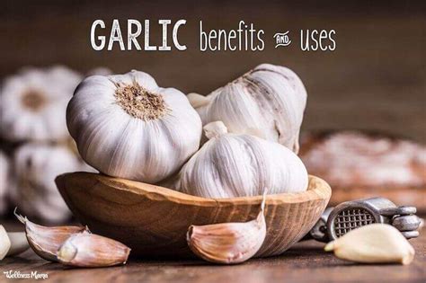 The Role of Garlic in Armenian Health and Wellness