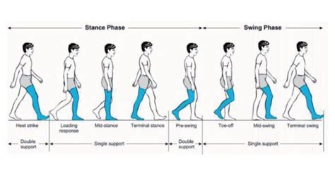 The Role of Physical Therapy in Achieving a Desired Gait Pattern