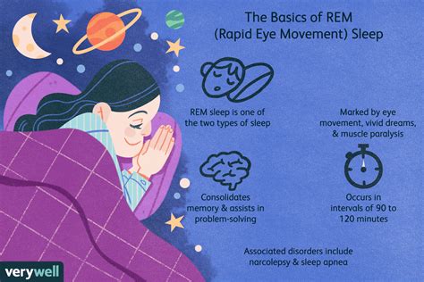 The Role of Rapid Eye Movement (REM) Sleep in a Dachshund's Adventurous Slumber