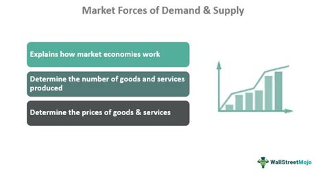 The Role of Supply and Demand: Exploring the Forces that Shape the Market