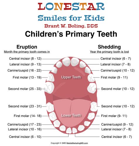 The Role of Teeth in Childhood Development