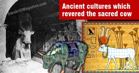 The Sacred Cow in Ancient Cultures