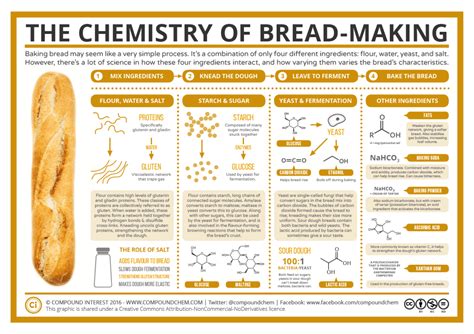 The Science Behind Bread: How Ingredients and Techniques Impact the Final Product