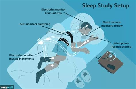 The Science Behind Dreaming: Exploring the Neurological and Psychological Mechanisms at Work