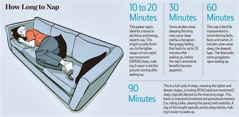 The Science Behind Feline Power Napping