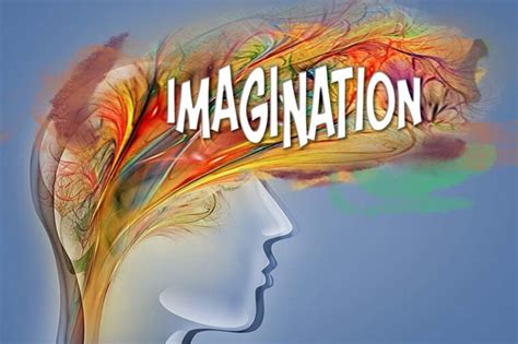 The Science Behind Imagination: How It Shapes Our Brain