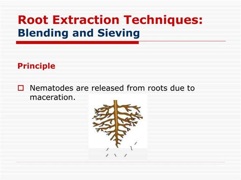 The Science Behind It: Understanding the Root Extraction Technique