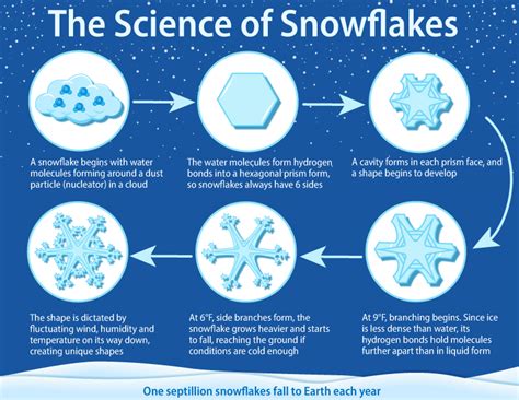 The Science Behind Snowflakes: A Magical Journey