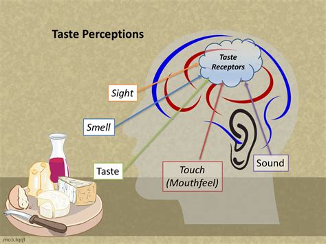 The Science Behind the Flavor: How Hair Enhances the Culinary Experience