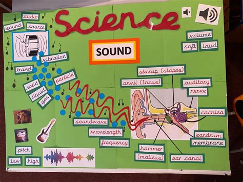 The Science behind the Utilization of Sound Science for Effective Information Attainment