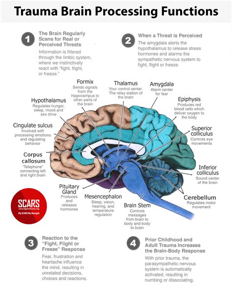 The Scientific Explanation: How Our Brain Processes Recognizable Faces in Dreams