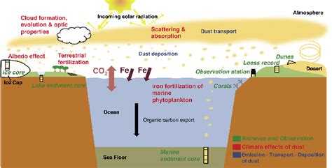 The Scientific Exposition on Dust's Impact on Dream Formation