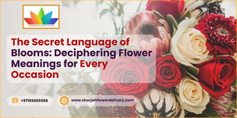 The Secret Language of Blooms: Deciphering the Hidden Meanings in a Young Woman's Reverie