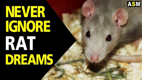 The Significance Behind a Woman's Rat Dream