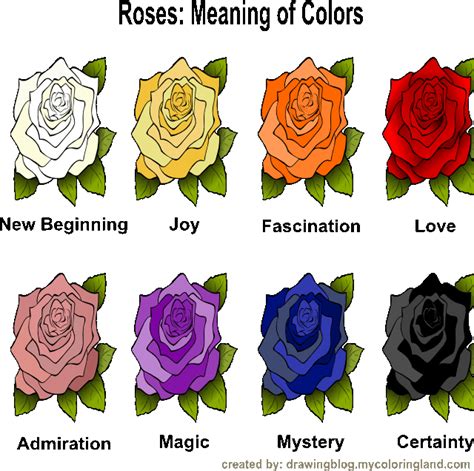 The Significance Behind the Symbolism of Roses