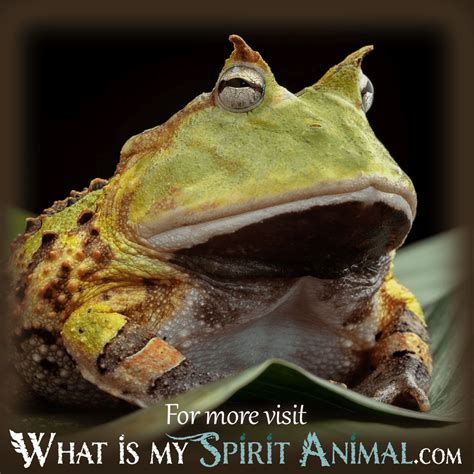 The Significance of Amphibians in Dream Interpretation