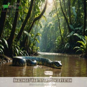 The Significance of Anaconda Reveries in Conservation Endeavours