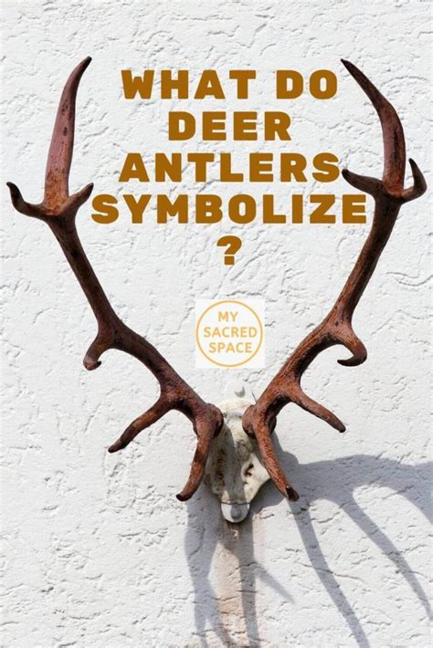 The Significance of Antlers in Deer Representation throughout Diverse Cultures