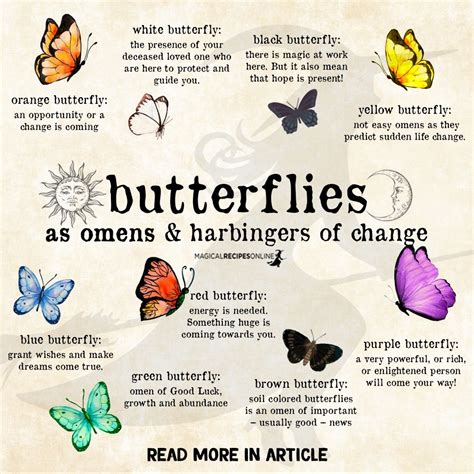 The Significance of Butterflies in Different Cultures