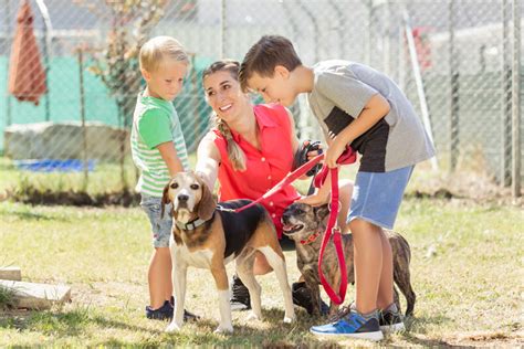 The Significance of Canine Companionship