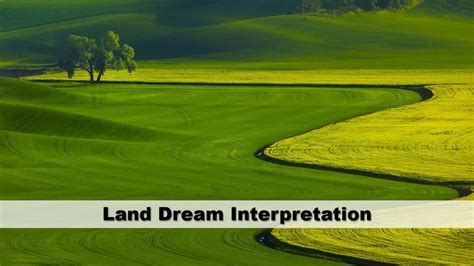 The Significance of Cultivated Land in Dream Interpretation