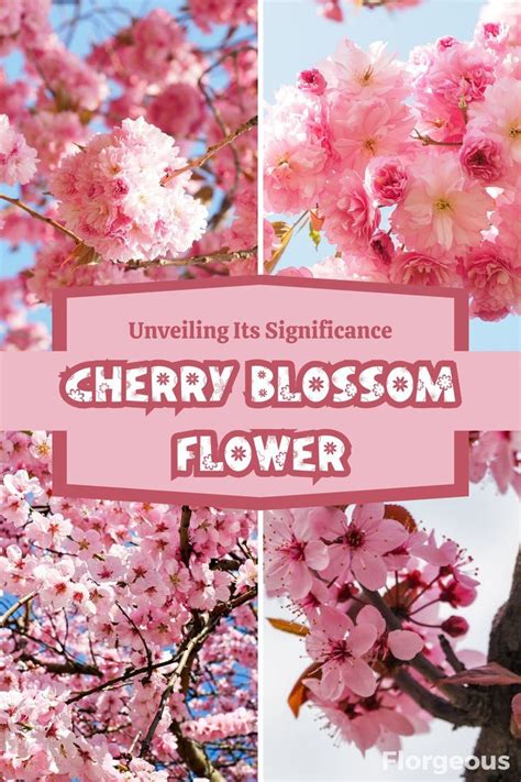 The Significance of Cultivating a Blossom: An Expedition of Maturation and Rebirth