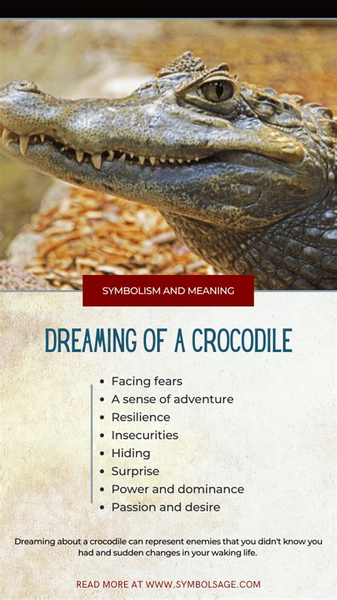 The Significance of Dreaming About Crocodiles from a Psychological Perspective