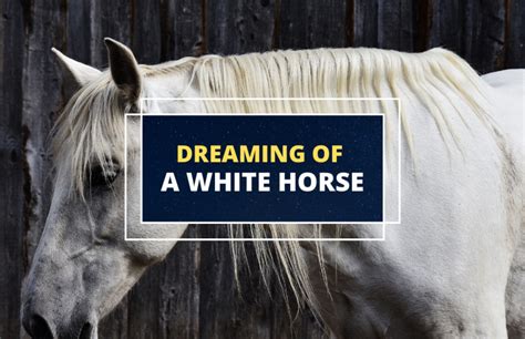 The Significance of Dreaming About a Young Equine