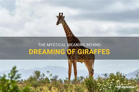 The Significance of Dreaming about Giraffes according to Miller