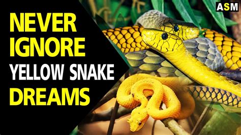 The Significance of Dreaming about a Yellow Snake