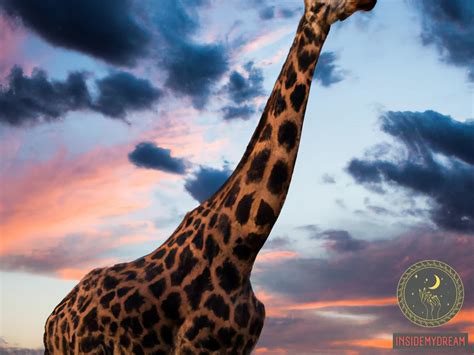 The Significance of Dreams: Giraffes and their Symbolic Meanings