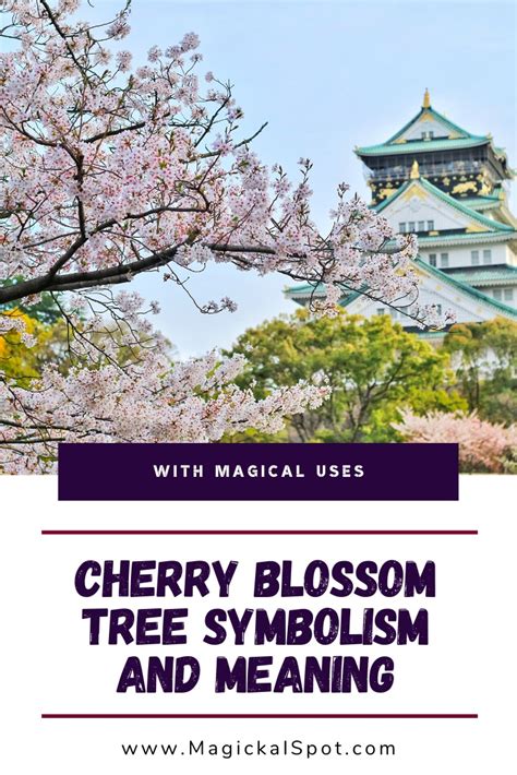 The Significance of Even Numbers in the Representation of Synthetic Blossom Symbolism