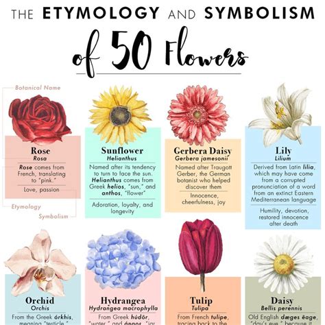 The Significance of Floral Symbolism in Feminine Bouquets