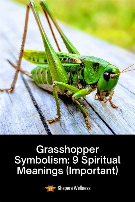 The Significance of Grasshopper Imagery in the Context of Marriage