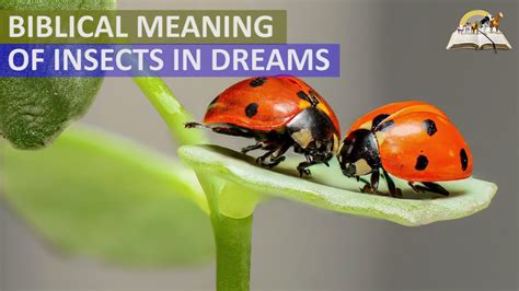 The Significance of Insects in Dream Interpretation