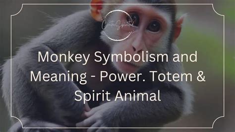 The Significance of Monkeys in the Symbolism of Dreams