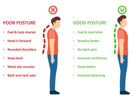 The Significance of Optimal Posture