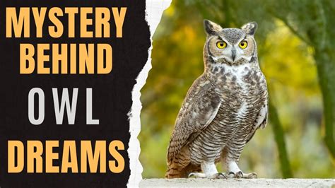 The Significance of Owls and their Link to Wisdom in the Analysis of Dreams