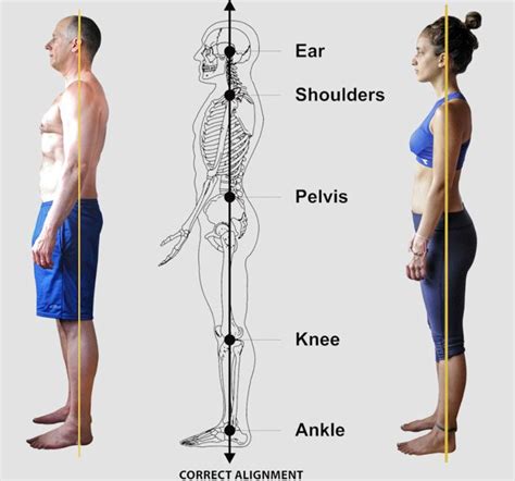 The Significance of Proper Body Alignment for Enhancing Vertical Growth on Apple Devices