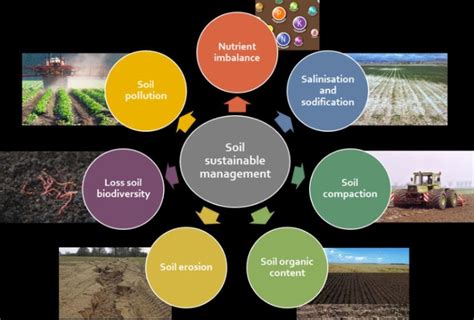 The Significance of Proper Soil and Nutrient Management