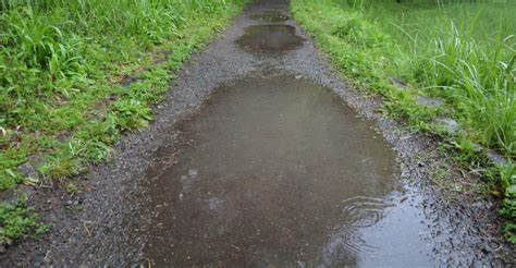 The Significance of Puddles in Dream Interpretation