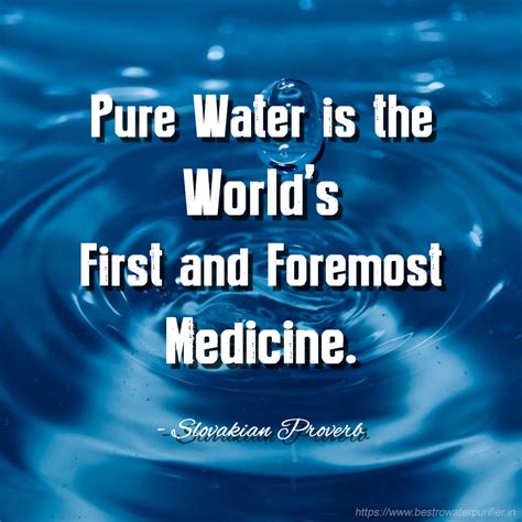 The Significance of Pure Water in Everyday Existence