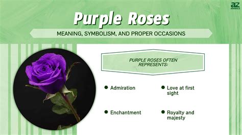 The Significance of Rose Symbolism in Dream Interpretation