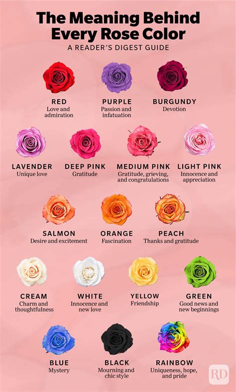 The Significance of Roses: Delving into the Meaning Behind the Interpretation of Dreams