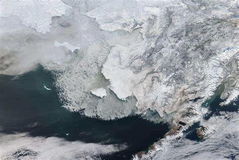 The Significance of Sea Ice in Ecosystems