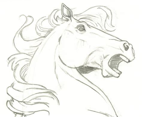 The Significance of Sketching an Equine in One's Night-time Vision