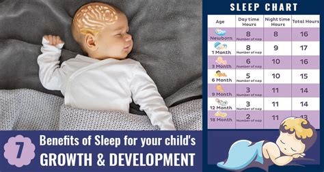 The Significance of Sleep in a Developing Fetus