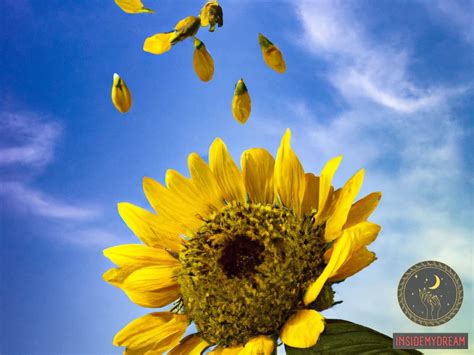 The Significance of Sunflower Seeds in Dream Symbolism