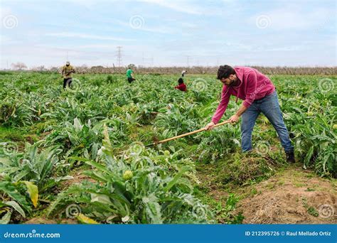 The Significance of Tilling the Cultivated Soil in Dreams