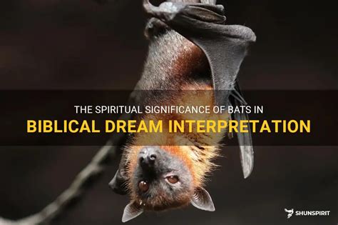 The Significance of a Bat in the Analysis of Islamic Dreams